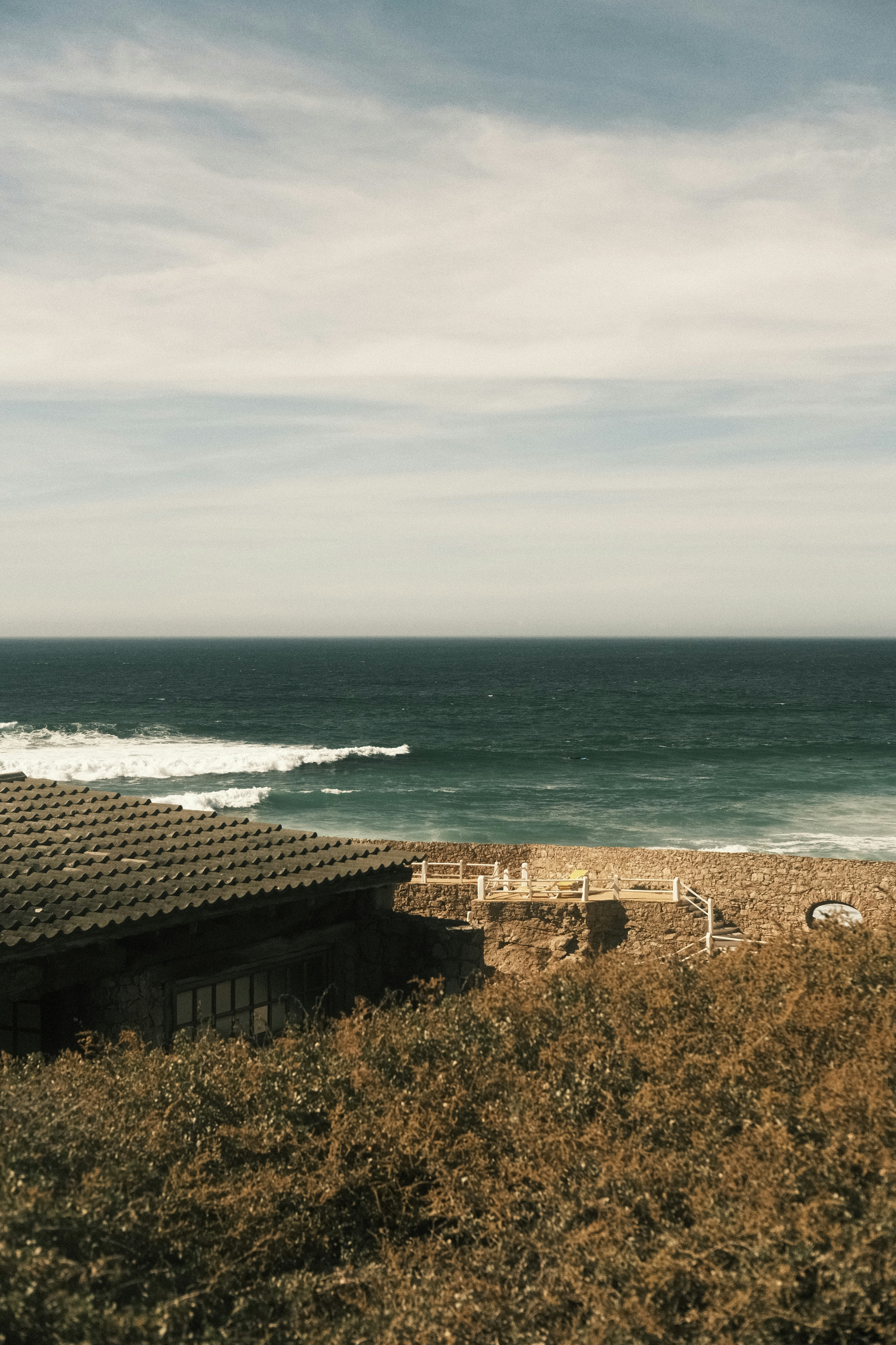 Photo by gabrielreisnf