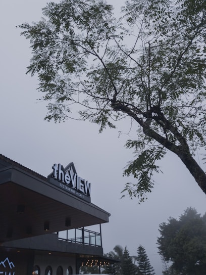 A modern building with a sign that reads 'the VIEW Restaurant & Cafe' stands in the foreground. The sky is overcast, giving a moody atmosphere, and the scene is dominated by a large tree with sprawling branches and green leaves on the right side.