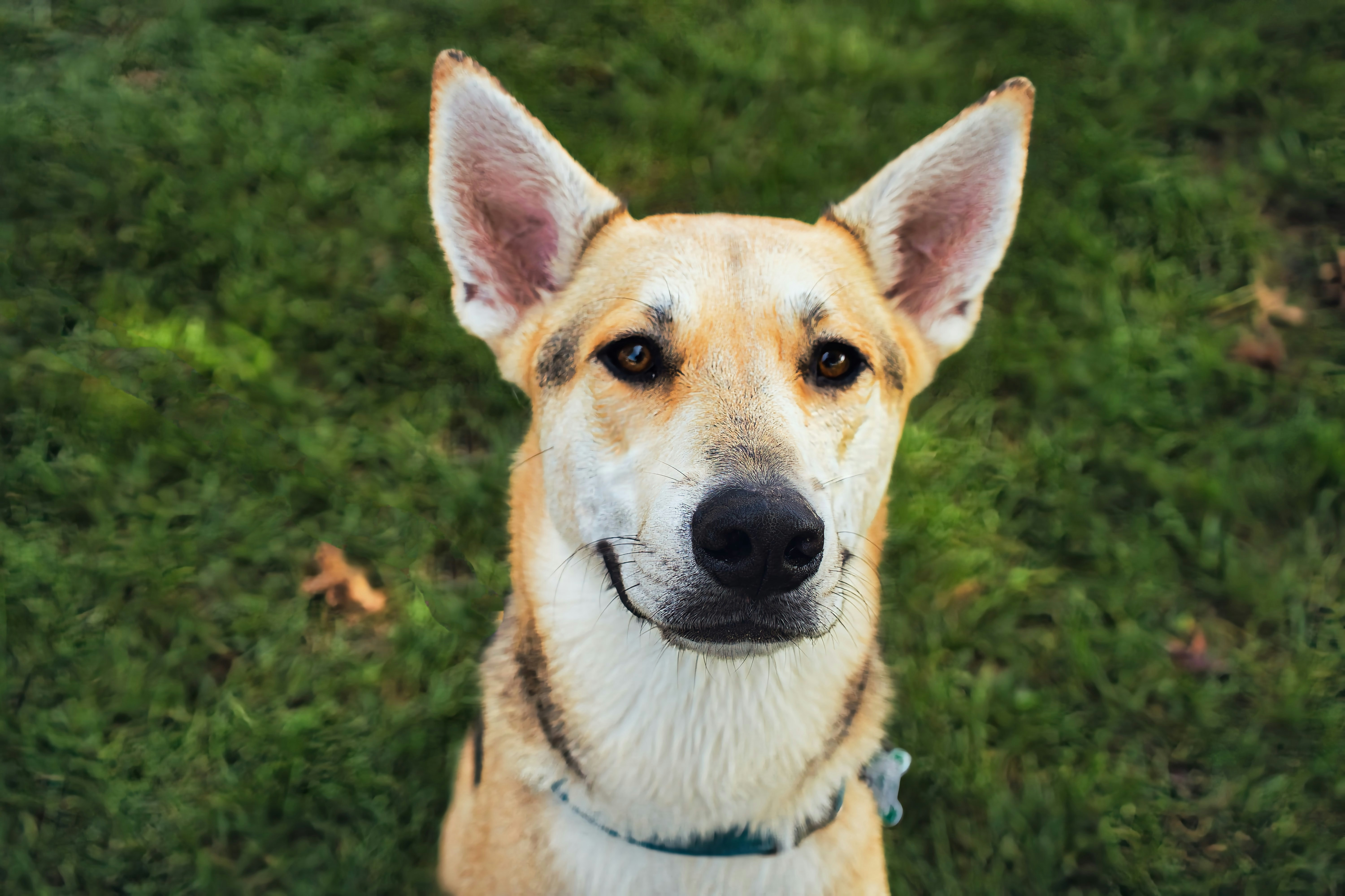 Photo by potato_traveler