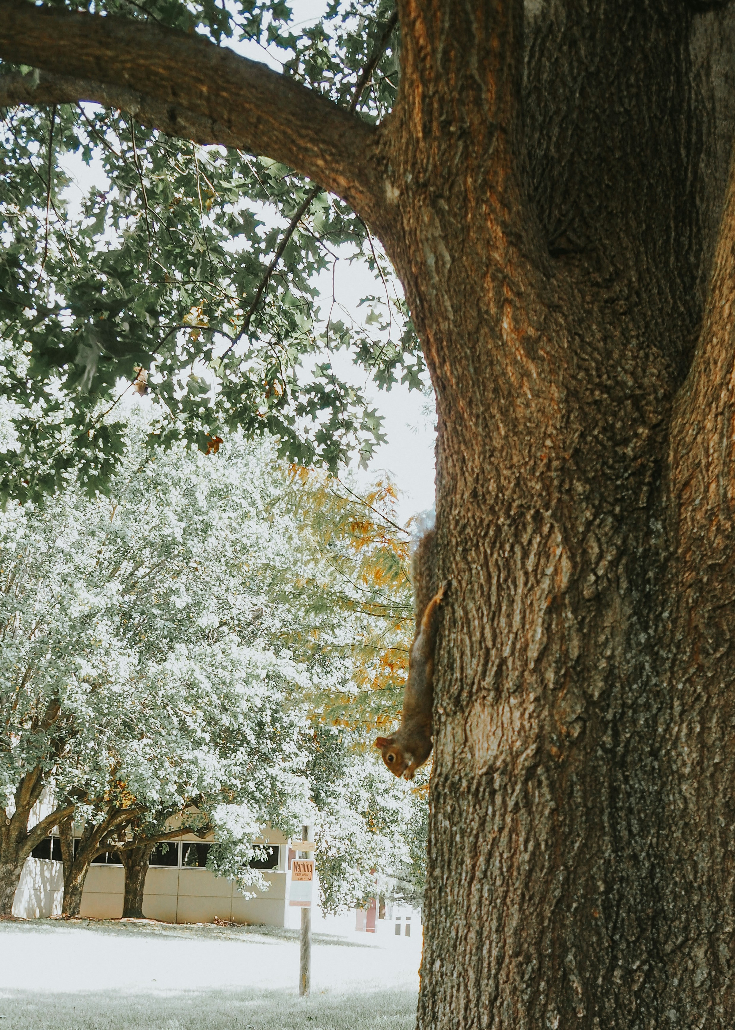 Photo by fieldworkframes