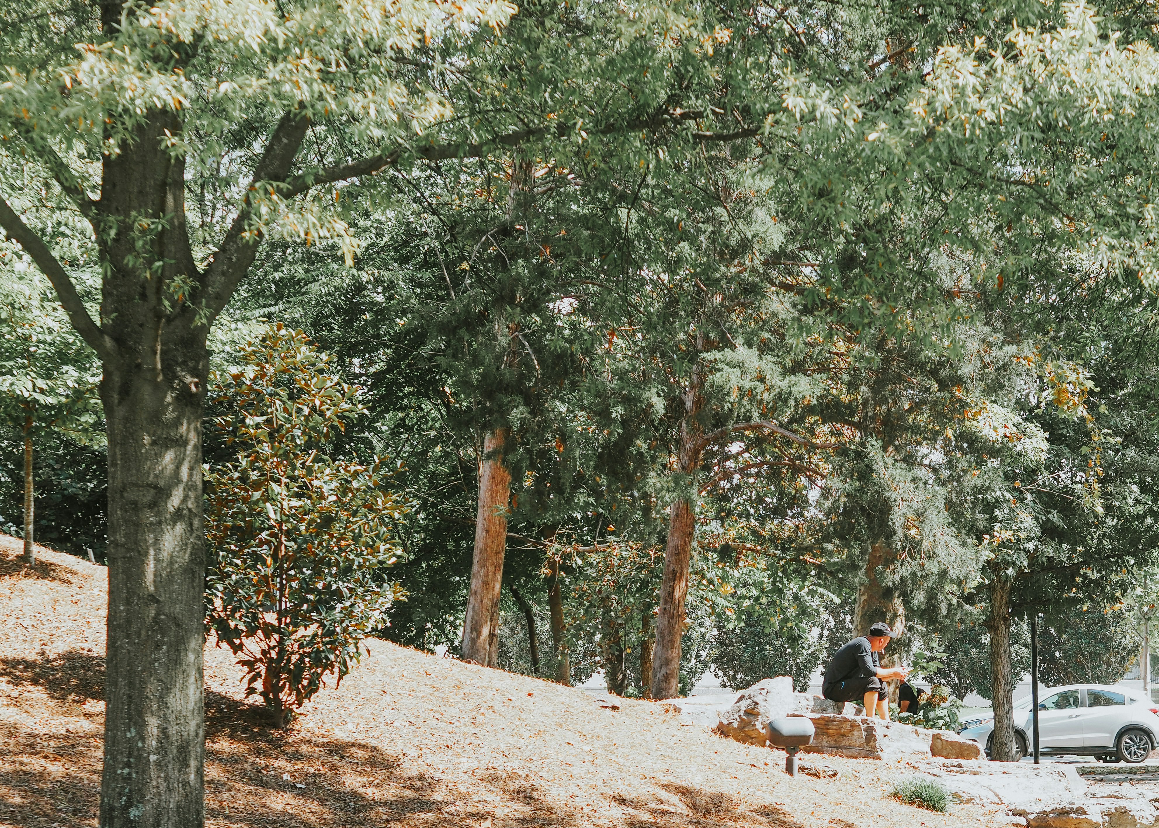 Photo by fieldworkframes