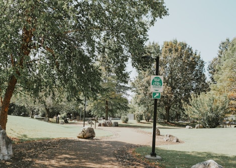 A peaceful park scene with a paved walking path surrounded by lush, green trees. A bike path sign is mounted on a pole, indicating a designated area for bicycles. Sunlight filters through the trees, casting gentle shadows on the ground. Rocks and grass line the pathway, adding to the natural setting.