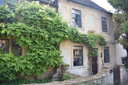 A charming stone cottage covered with lush green vines that extend across its front facade. The cottage features multiple paned windows with wooden frames, and a rustic wooden door. A quaint stone wall runs along the front of the property, adding to the idyllic and serene atmosphere of the setting.
