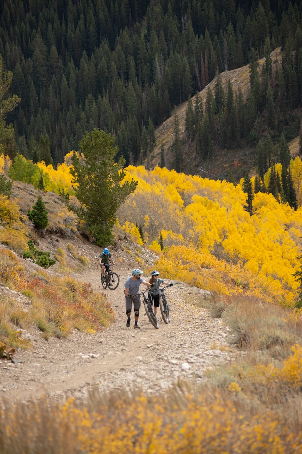 a group of people riding bikes down a dirt road