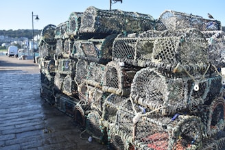 A large stack of wire fishing traps sits on a wet cobblestone ground near a harbor. A black bird perches on the top right corner of the stack. In the background, there is a view of a waterfront town with buildings and a parked white van.