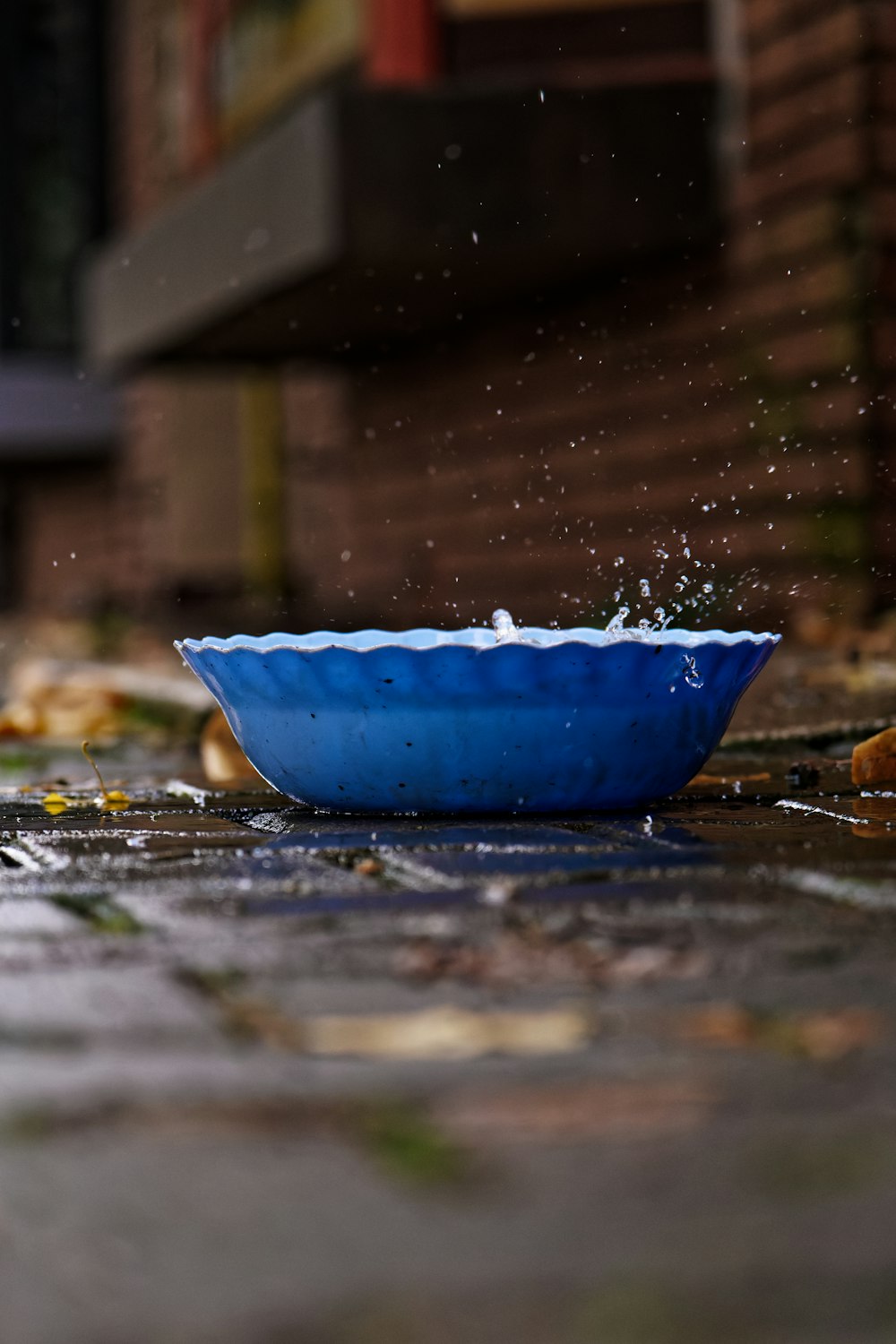 a blue bowl sitting on top of a sidewalk