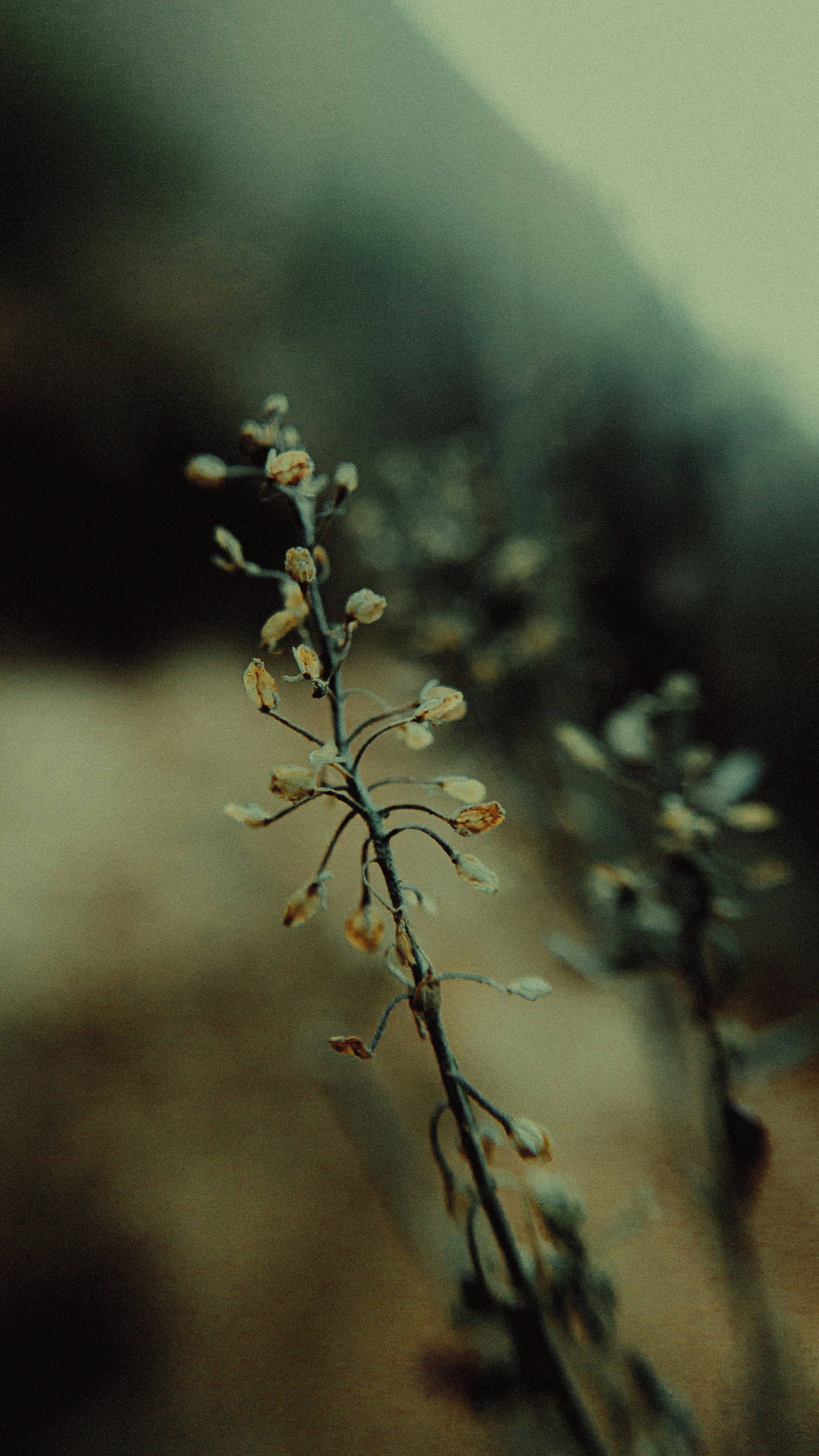 Photo by euigorbispo