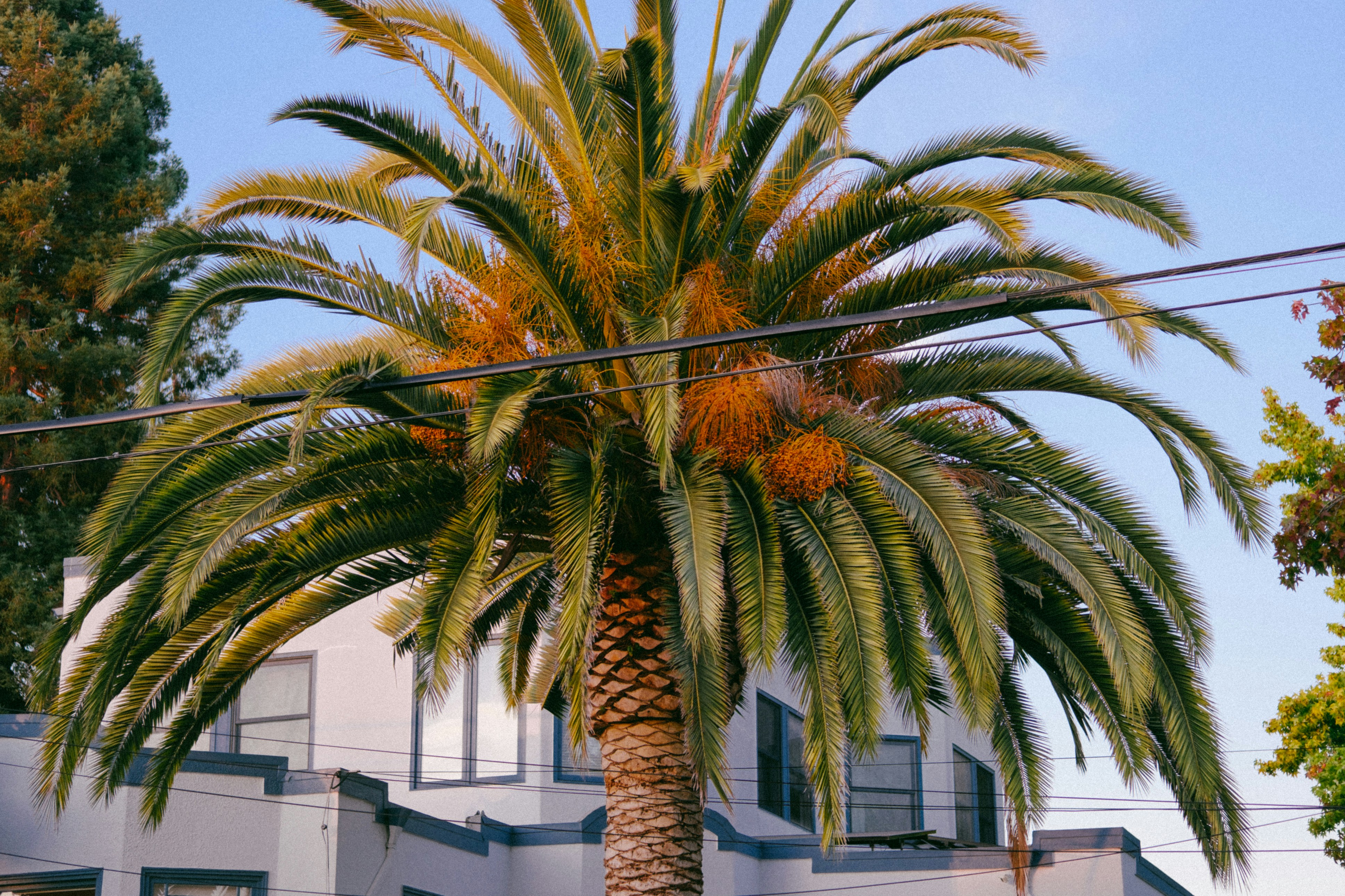 Photo by marsupialpudding