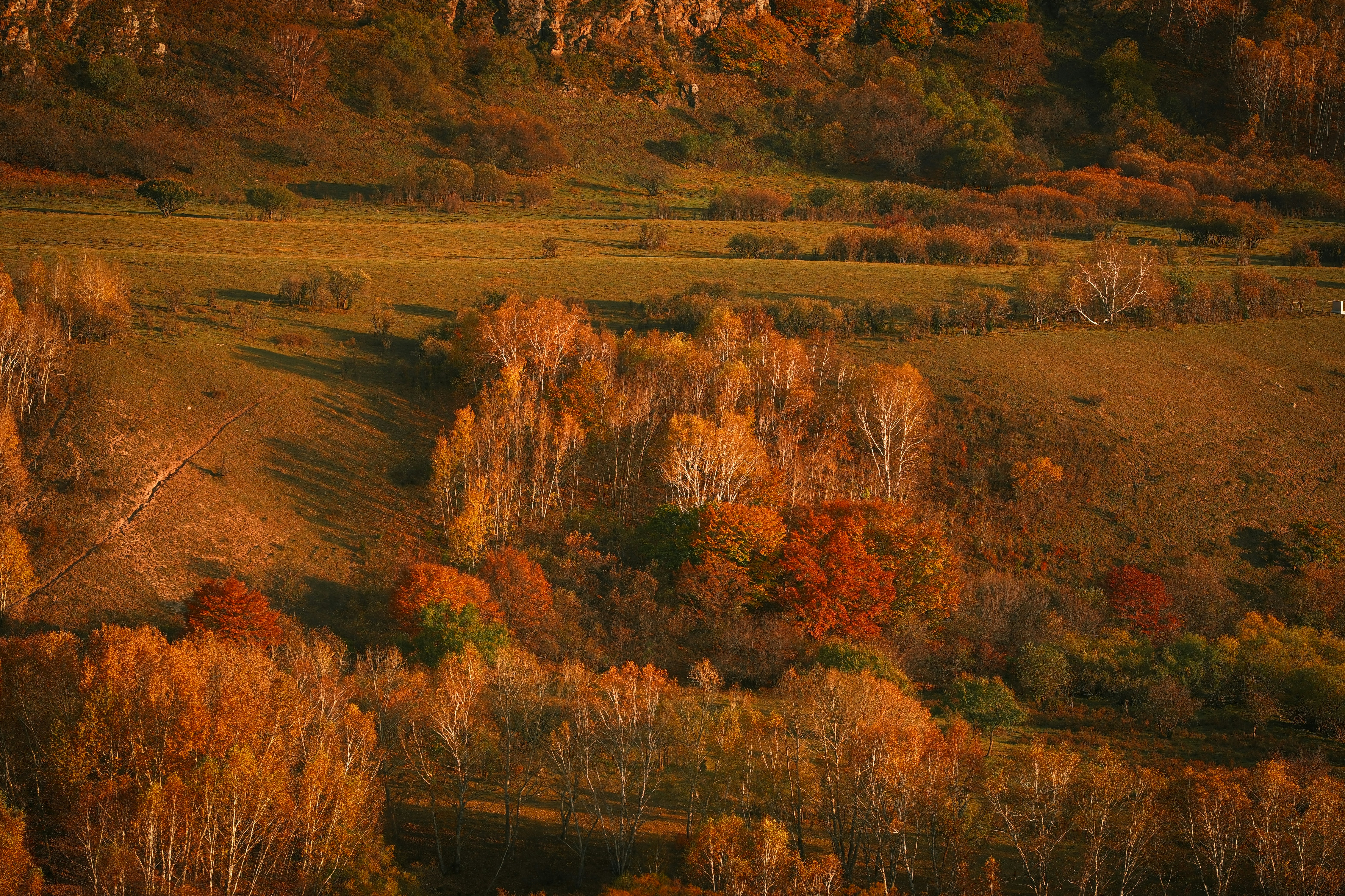 Photo by czy48