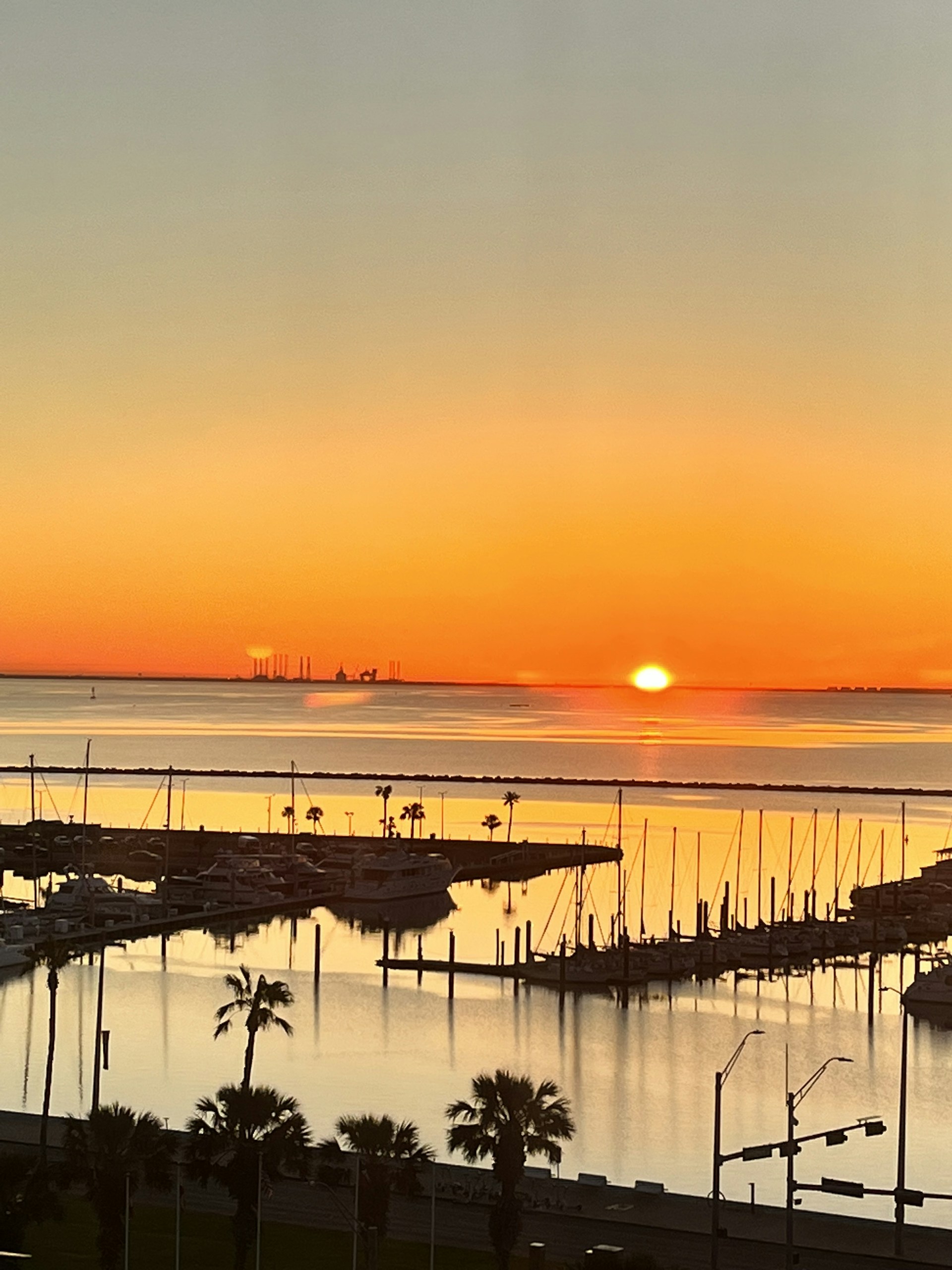 A vibrant Caribbean harbor at sunset, with colorful boats bobbing and palm trees swaying in the warm breeze.