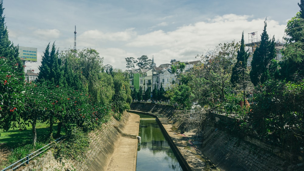 a river running through a lush green park