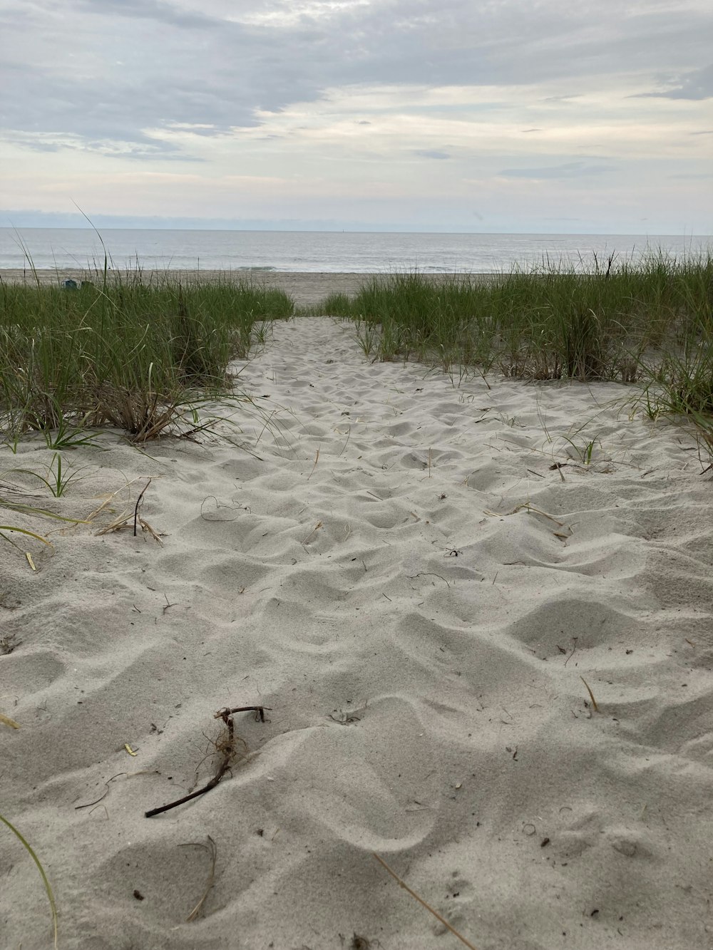 a sandy path leading to the beach with tall grass