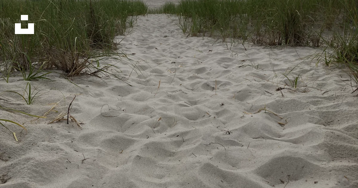 Sandy Path Map A sandy path leading to the beach with tall grass photo – Free United ...