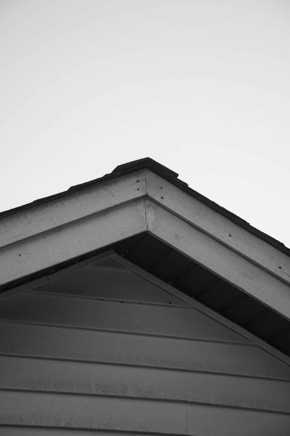 Una foto en blanco y negro de un pájaro en la parte superior de un techo
