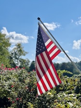 Close-up of freshly trimmed bushes with an American flag gently waving in the background.