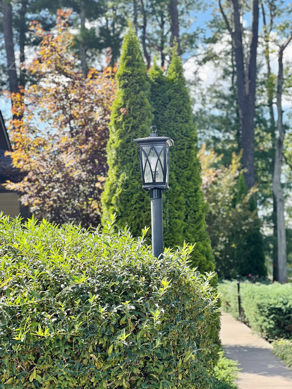a lamp post in the middle of a garden