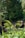 Two large drainage pipes emerge from a lush, green embankment surrounded by dense vegetation. The pipes reflect the greenery and water, with some rocks and water appearing in the foreground. Sunlight filters through the leaves, highlighting various shades of green.
