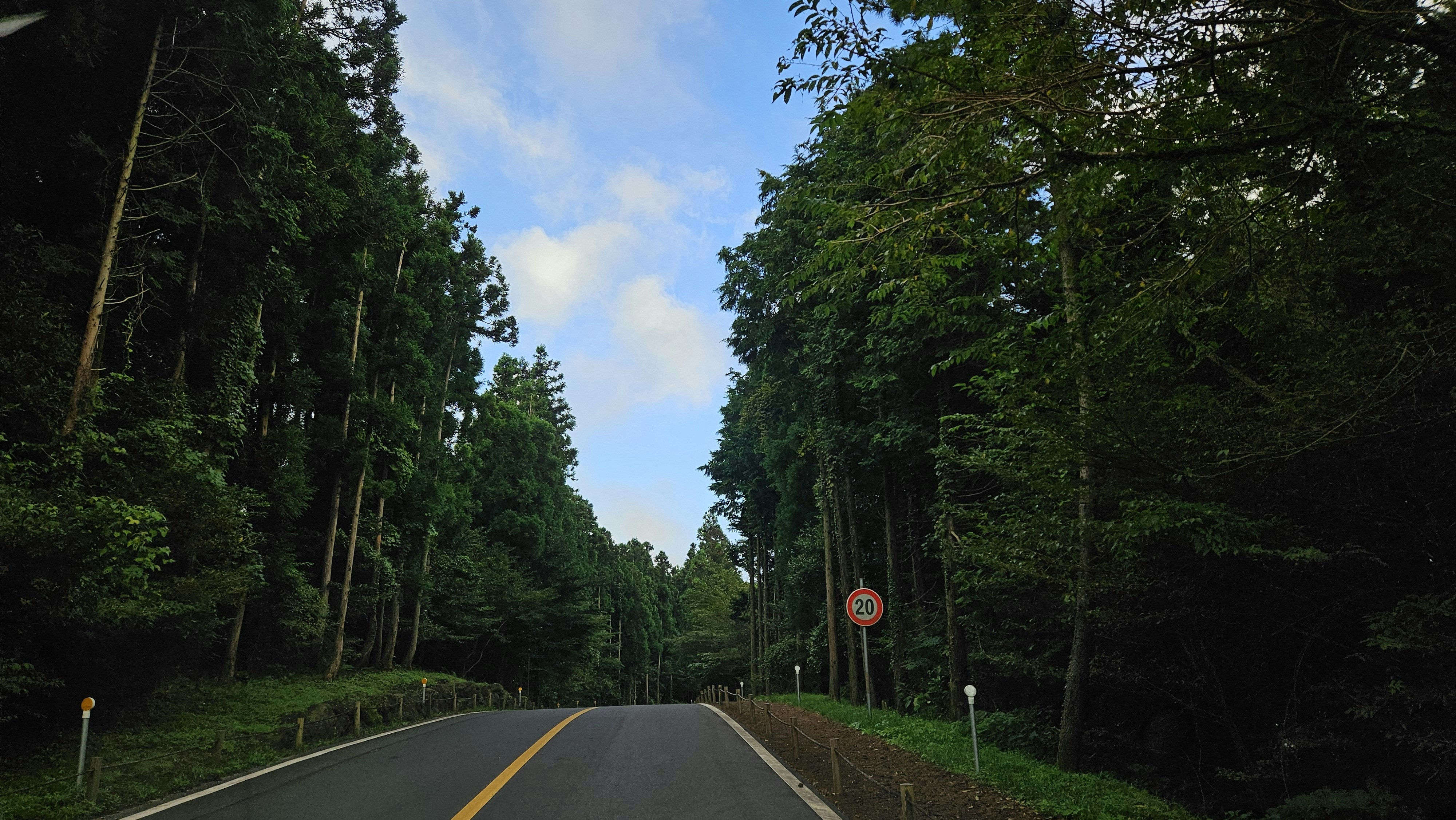 a view of a road with trees on both sides