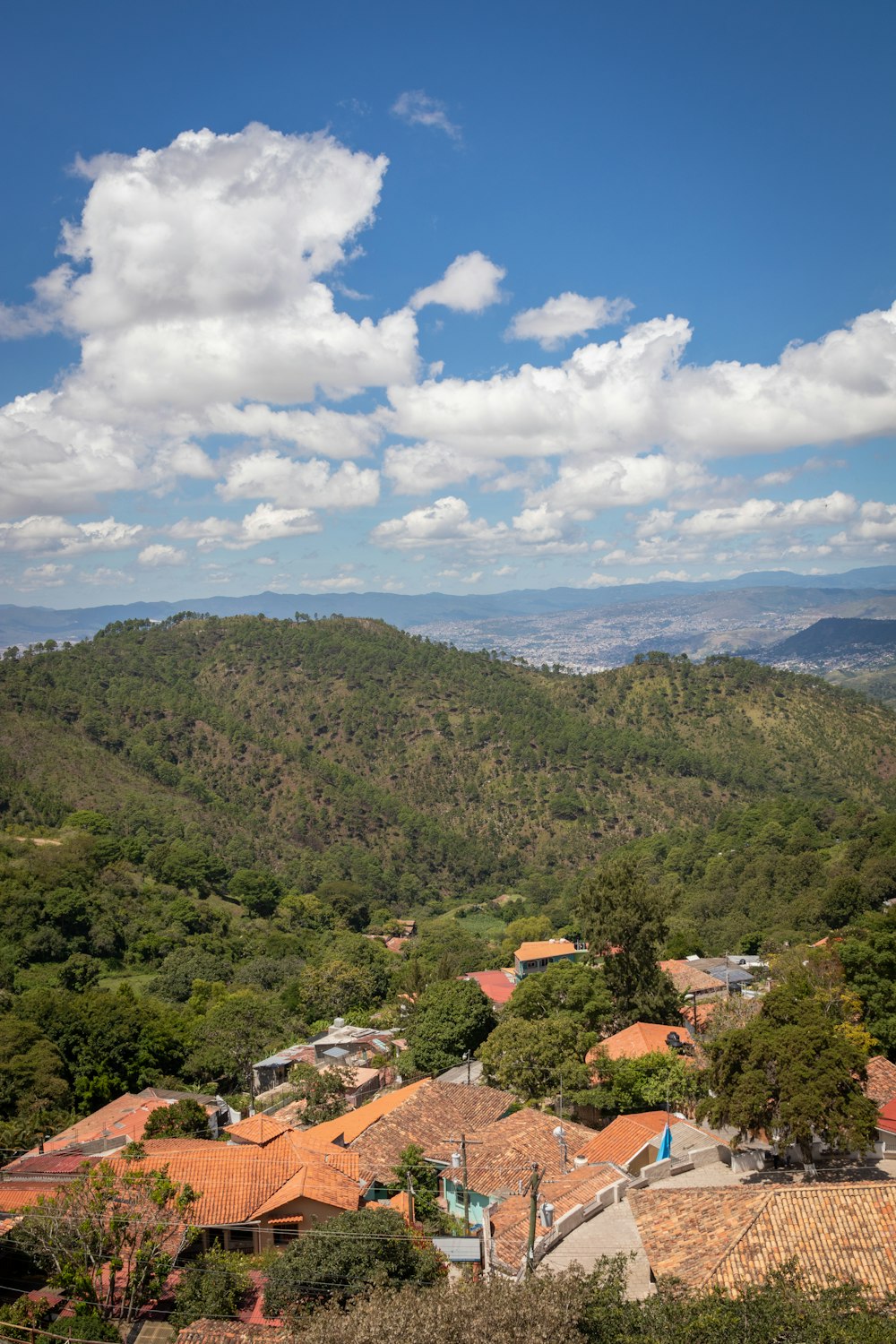 a scenic view of a village in the mountains