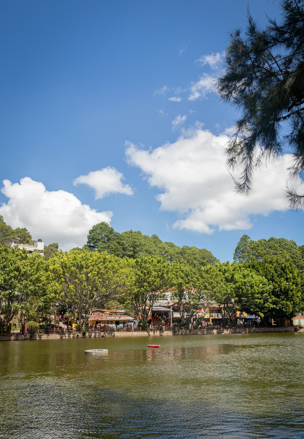 a body of water surrounded by trees and buildings