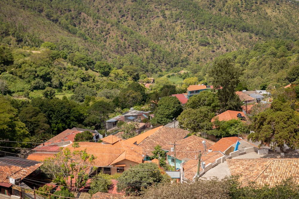 a view of a small village in the mountains