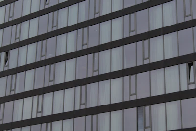 Contemporary glass window installation on a commercial building with dark frames.