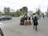 A city street scene with a sculpture display featuring a large Bigfoot figure accompanied by three bear figures. People are interacting with the display, taking pictures. Vehicles are parked along the street, and trees and various buildings, including a construction site, are visible in the background. The atmosphere appears lively with pedestrians and traffic.
