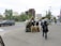A city street scene with a sculpture display featuring a large Bigfoot figure accompanied by three bear figures. People are interacting with the display, taking pictures. Vehicles are parked along the street, and trees and various buildings, including a construction site, are visible in the background. The atmosphere appears lively with pedestrians and traffic.