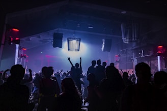 A crowded nightclub or concert venue with people dancing and raising their hands. The room is dimly lit with a combination of red and blue lighting. Silhouettes of individuals can be seen against a bright light source in the center, creating a dynamic and lively atmosphere.