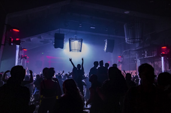 A crowded nightclub or concert venue with people dancing and raising their hands. The room is dimly lit with a combination of red and blue lighting. Silhouettes of individuals can be seen against a bright light source in the center, creating a dynamic and lively atmosphere.