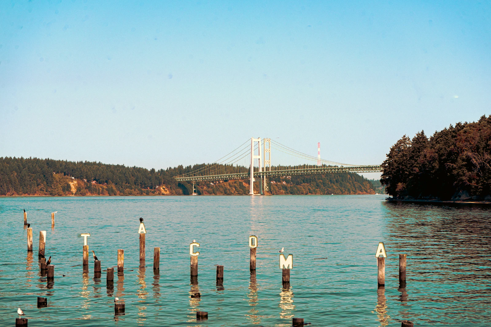Tacoma Narrows Bridge spanning Puget Sound