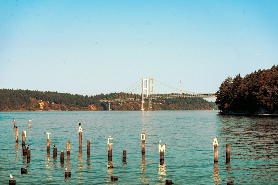 The Tacoma Narrows Bridge seen across open water past a row of old pier pilings