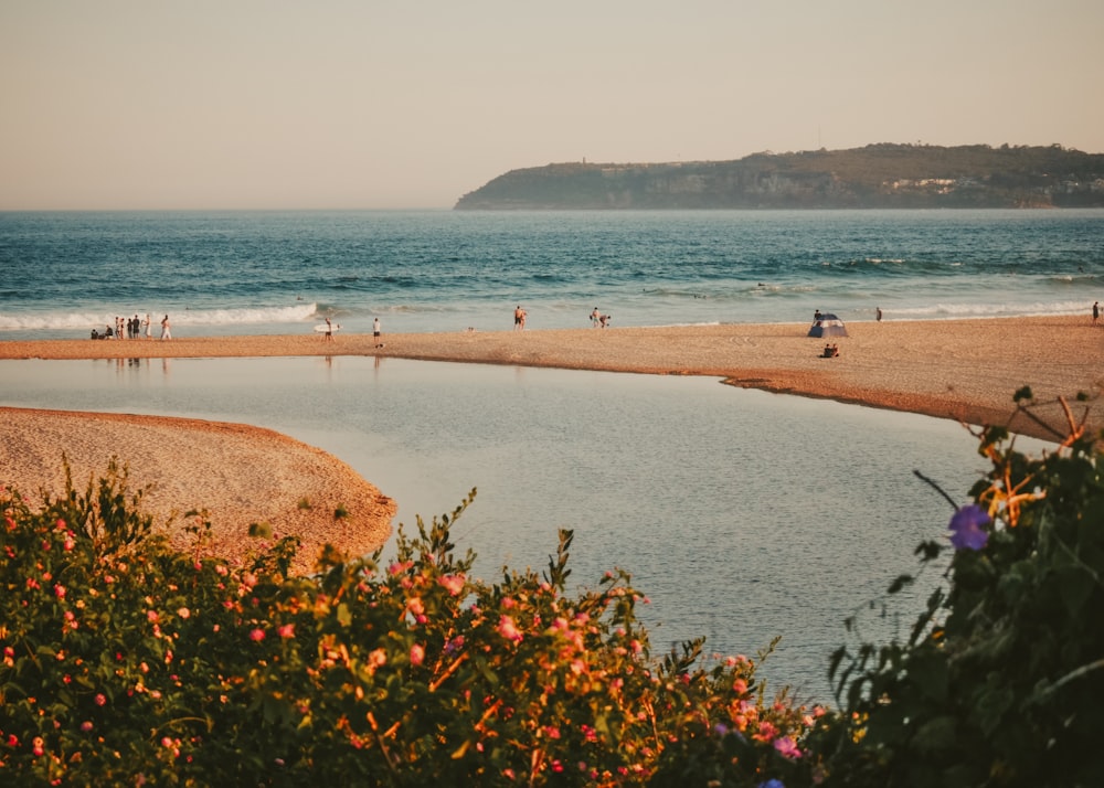 a body of water surrounded by a sandy beach