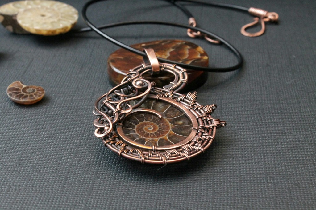 Ammonite Fossil