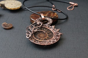 Ammonite Fossil