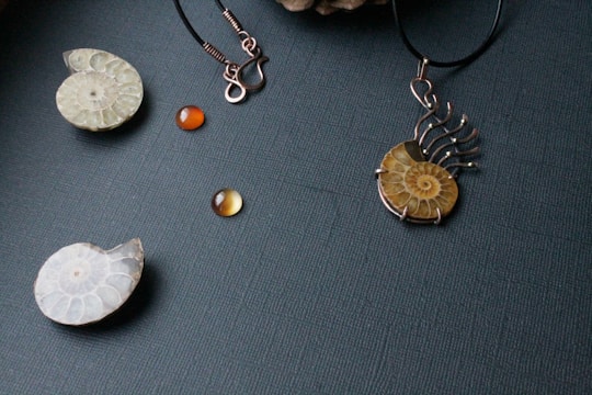 A collection of jewelry pieces is displayed on a textured dark background, including a pendant with a fossil-like spiral design, an earring with an empty hook, and several round amber-colored beads.
