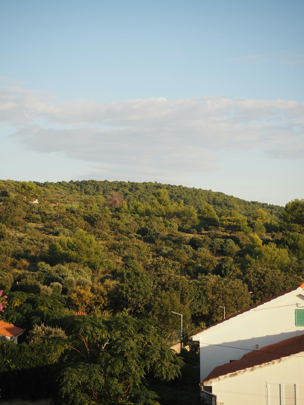 a view of a hill with trees and buildings