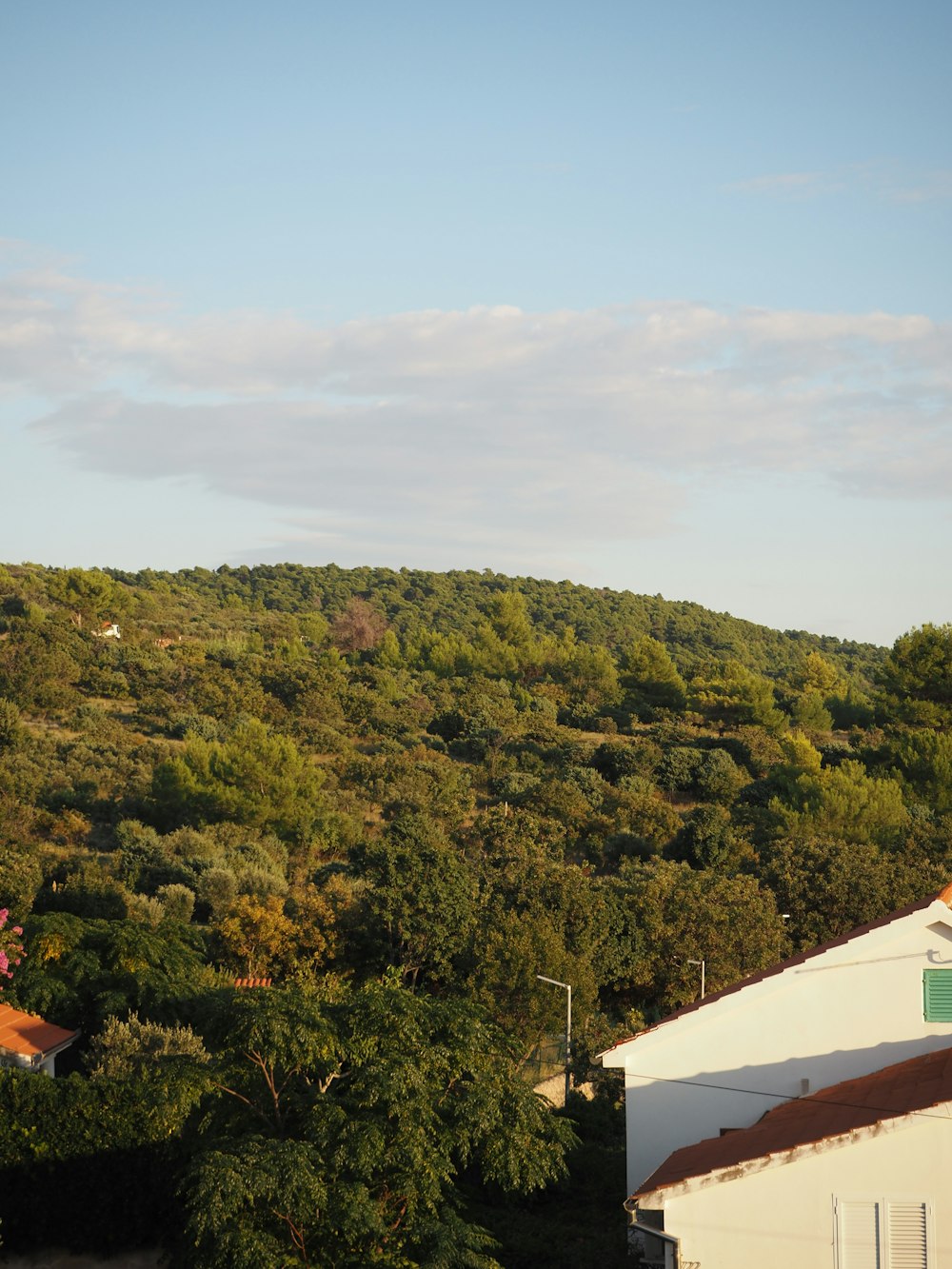 una vista di una collina con alberi ed edifici