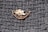 A decorative piece of jewelry featuring a metallic leaf design rests on a textured knit fabric. The brooch is intricately crafted with a combination of copper wires and a small stone accent, creating an elegant and artisanal appearance.