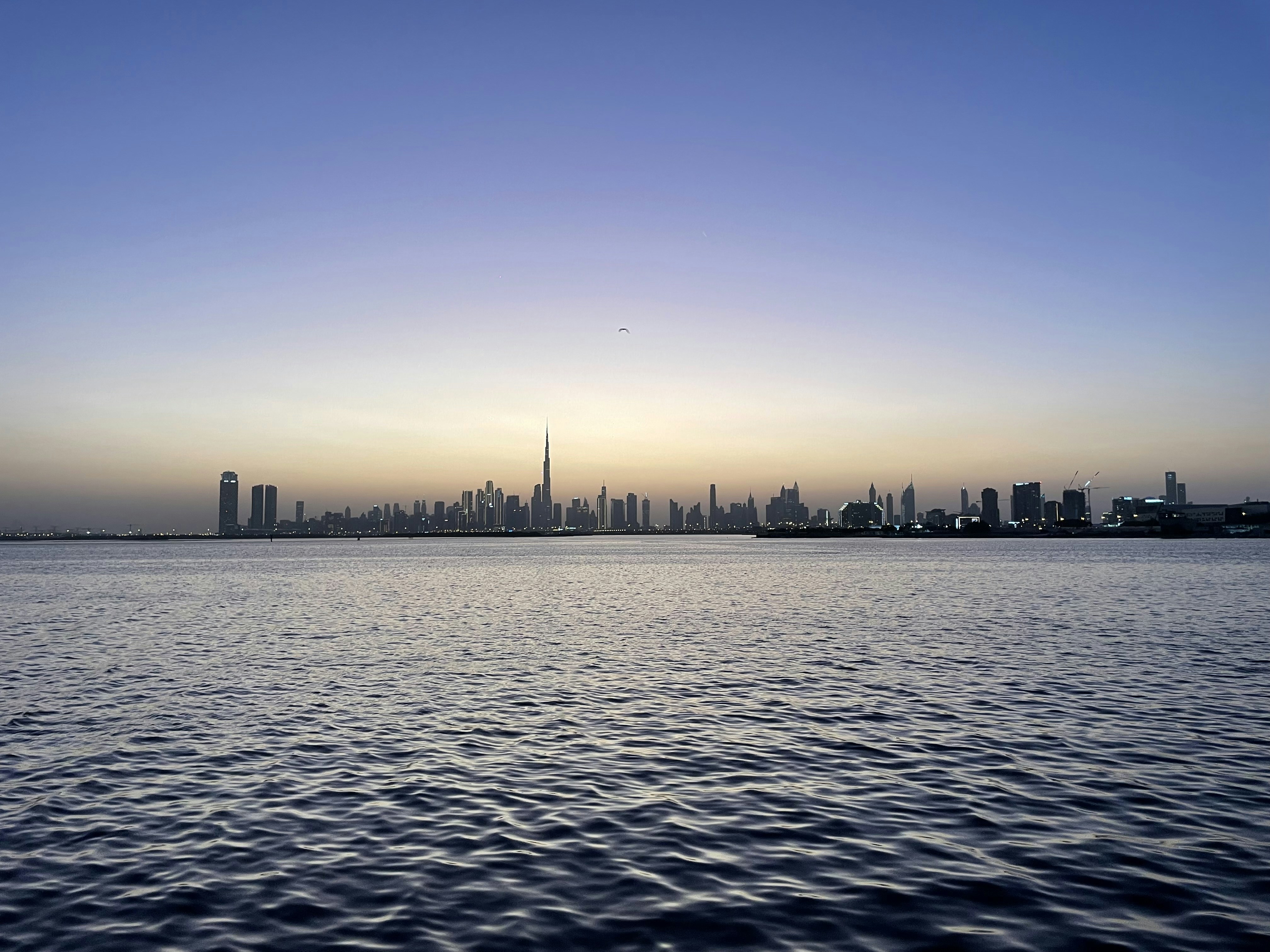 Photo by sukhpreetsingh1