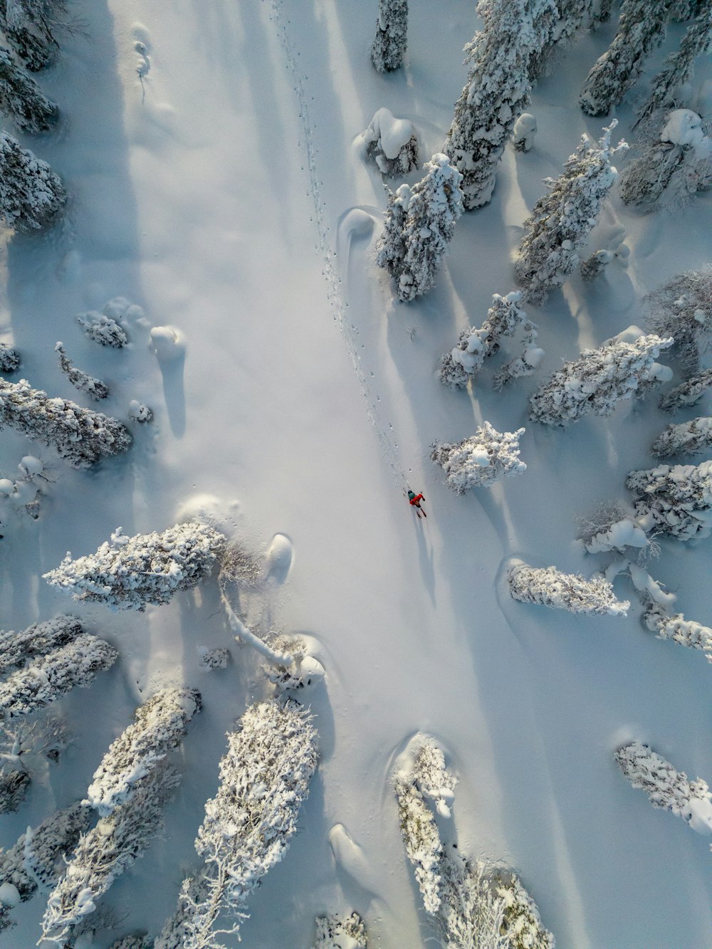 a person riding skis down a snow covered slope