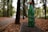 A green plastic bottle with a red cap is placed on a rough wooden surface. The background features a blurred view of a forest with tall trees and a carpet of fallen leaves. The setting suggests a peaceful, natural environment.