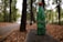 A green plastic bottle with a red cap is placed on a rough wooden surface. The background features a blurred view of a forest with tall trees and a carpet of fallen leaves. The setting suggests a peaceful, natural environment.