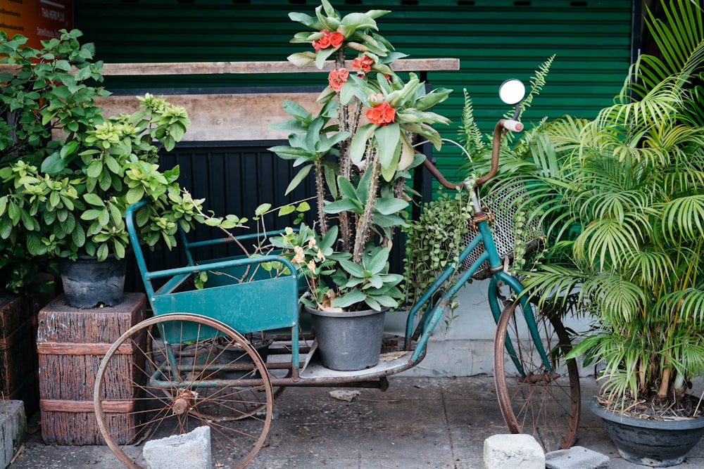 a bicycle parked next to a bunch of potted plants