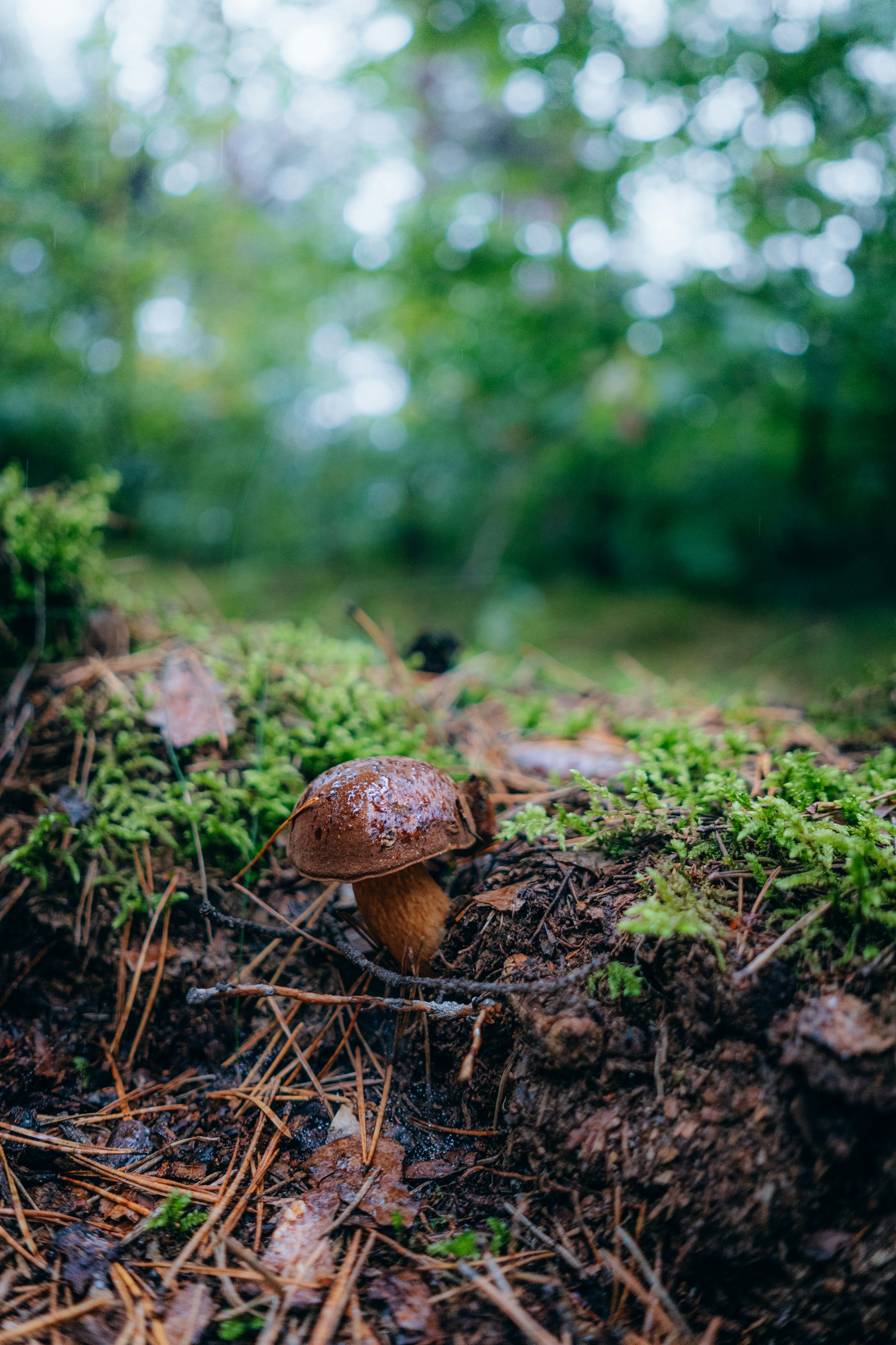 Photo by jakubpabis