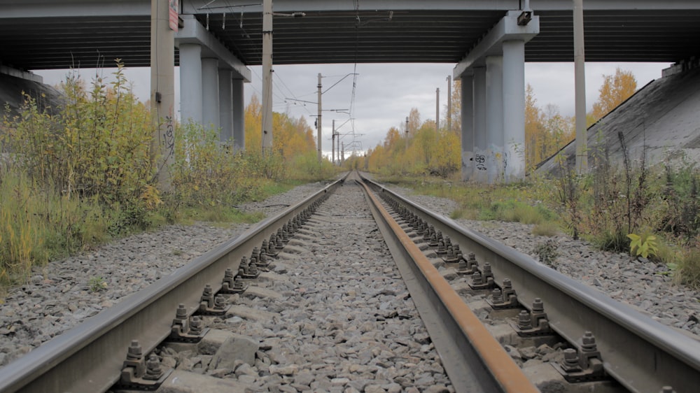 a train track under an overpass with trees in the background