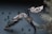 An intricately designed piece of metal jewelry, possibly a bracelet, featuring elegant curves and spirals. It has a dark stone centerpiece and is set against a textured background with scattered small green beads and pale dried plant elements.