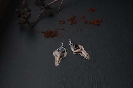 Two intricately designed pendants with tooth-like elements and gemstones are placed on a textured dark surface. The pendants are silver with one holding a blue gemstone and the other a black gemstone. Above them, there is a branch with pinecones and scattered reddish-brown powder, possibly cinnamon.