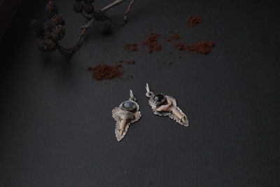 Two intricately designed pendants with tooth-like elements and gemstones are placed on a textured dark surface. The pendants are silver with one holding a blue gemstone and the other a black gemstone. Above them, there is a branch with pinecones and scattered reddish-brown powder, possibly cinnamon.