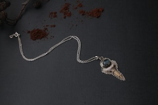 A silver chain necklace featuring a pendant with a dark blue gemstone and intricate detailing. The pendant is shaped unusually with a pointed end resembling a tooth or talon. The background is textured and dark, with small piles of scattered brown powder and a branch with seed pods in the upper left corner.